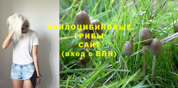 ешки Арсеньев