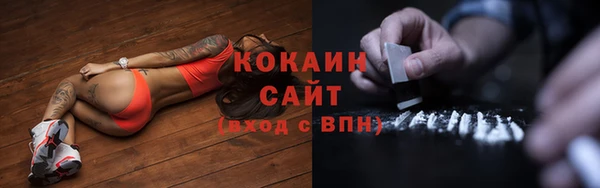 ешки Арсеньев
