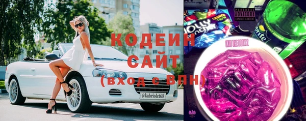ешки Арсеньев