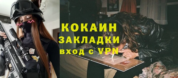 ешки Арсеньев