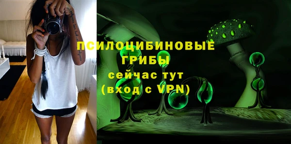 ешки Арсеньев